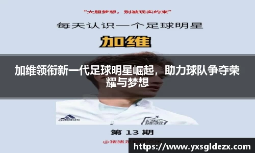 BB贝博艾弗森体育