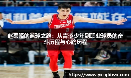 BB贝博艾弗森体育