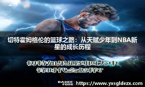 BB贝博艾弗森体育